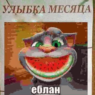 Флуд ролки по ИНМТ группа ватсап