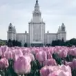 Москва Очаково-Матвеевское группа ватсап