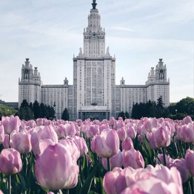 Москва Очаково-Матвеевское группа ватсап