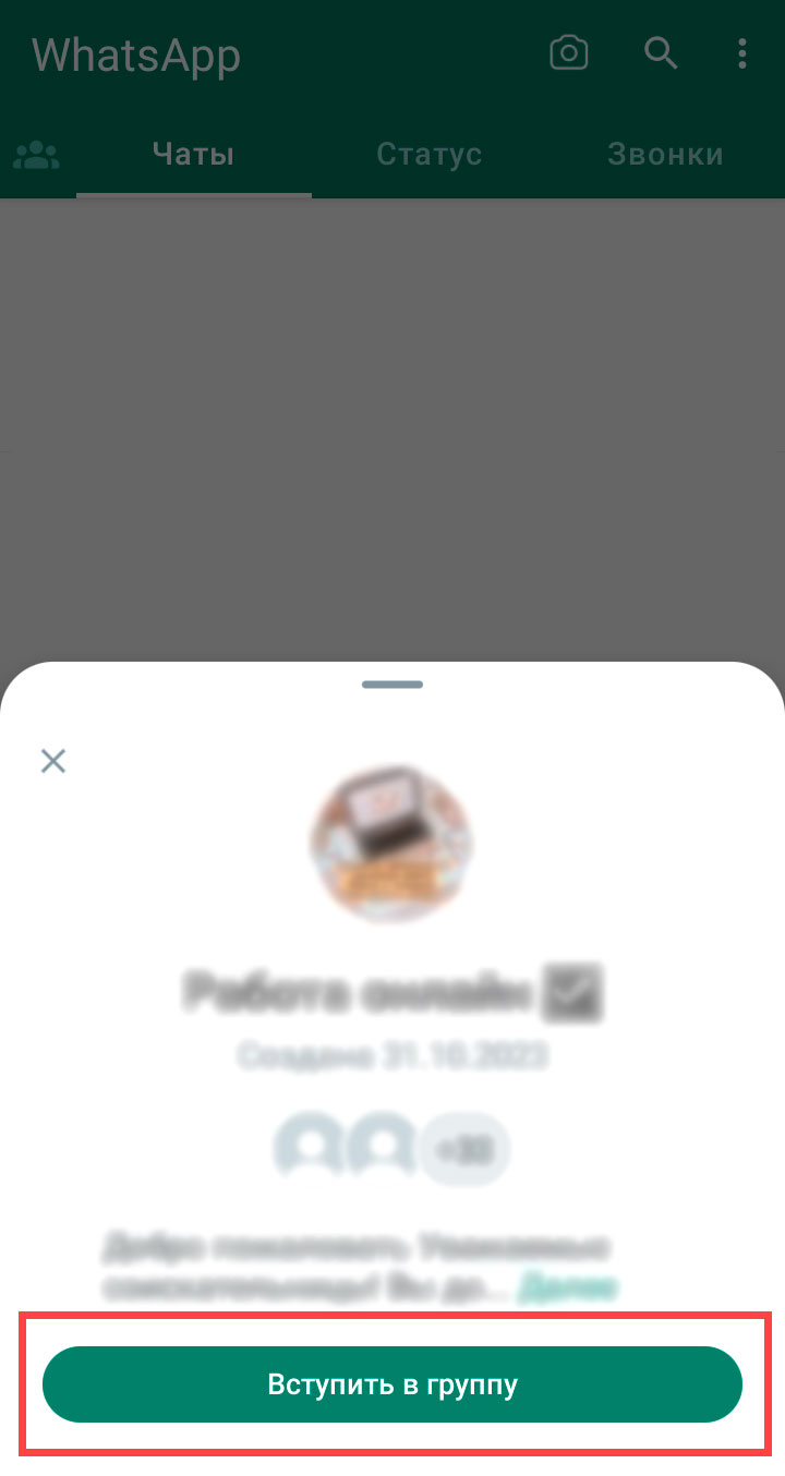 Поиск группы WhatsApp шаг 7