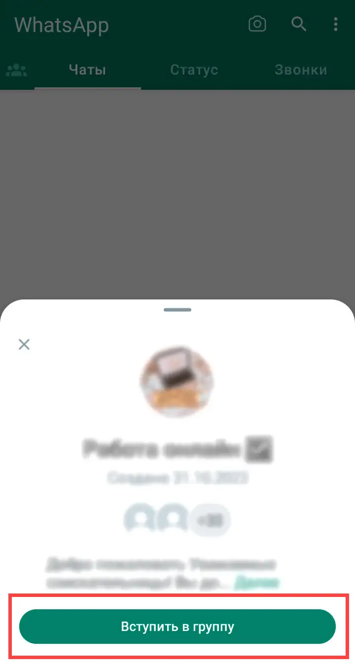 Поиск группы WhatsApp шаг 7