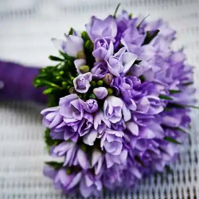 Фиолетовый букет аватарка инстаграм