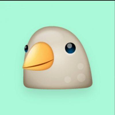 Gruppa группа Ватсап