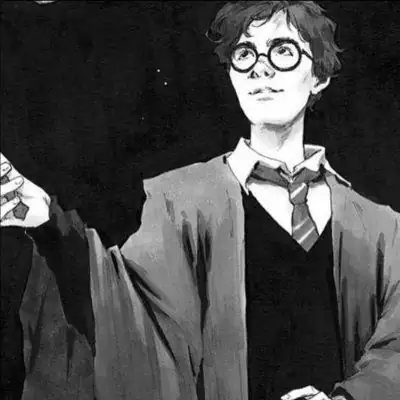 Harry Potter группа Ватсап