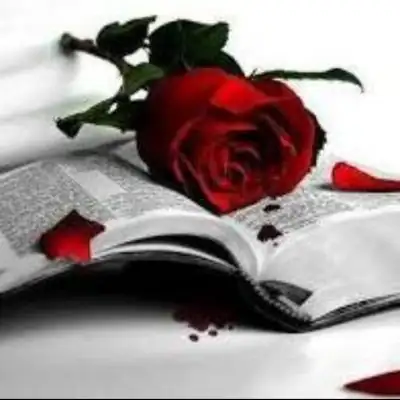 Haus gerty группа Ватсап