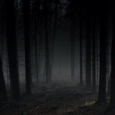 Все что нас окружает канал телеграм