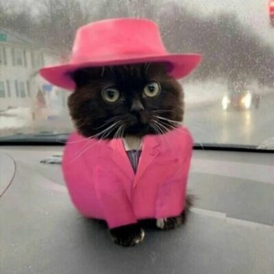 RP GRUPA группа телеграм