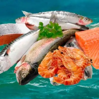 Рыба и морепродукты группа ватсап