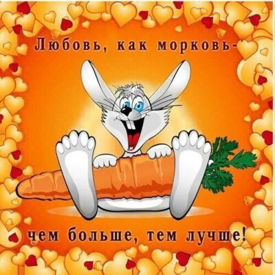 Любовь моркови группа ватсап