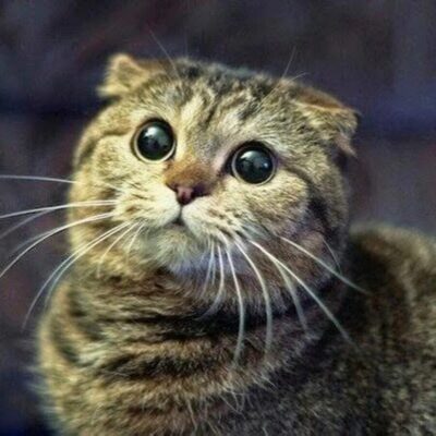 Вписки Ростов группа телеграм