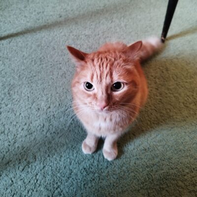 Полка по любым персонажам группа ватсап