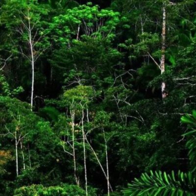 Дикая ролевая группа ватсап