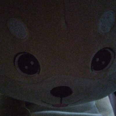 Ходячий замок группа ватсап