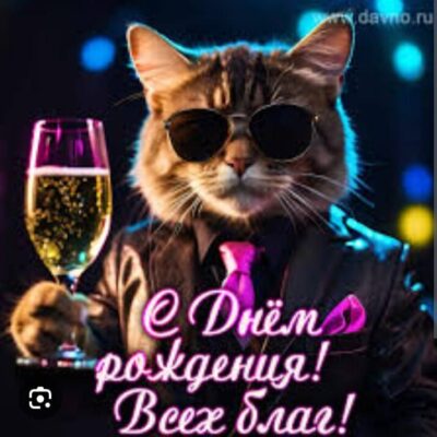 Пираты группа ватсап