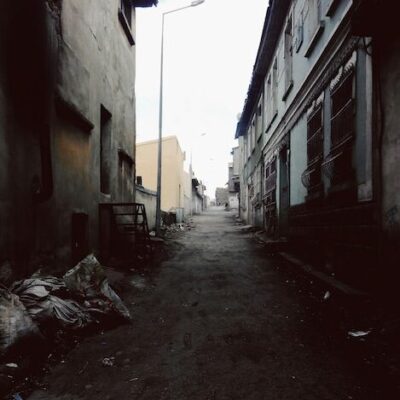 Rp зомбированные паразитом группа ватсап