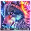 Стикерная Волка группа телеграм