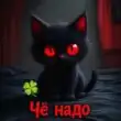 Стикртянкадлятебя группа ватсап