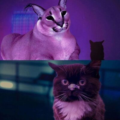 RP GROUP группа телеграм