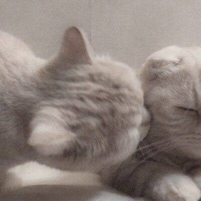 Общалка группа ватсап