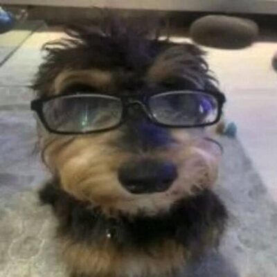 CountryHumans Roleplay группа ватсап