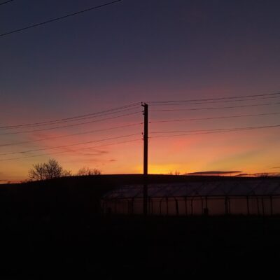 Рол плей группа ватсап