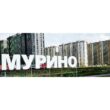 Мурино City группа телеграм