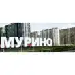 Мурино City группа телеграм