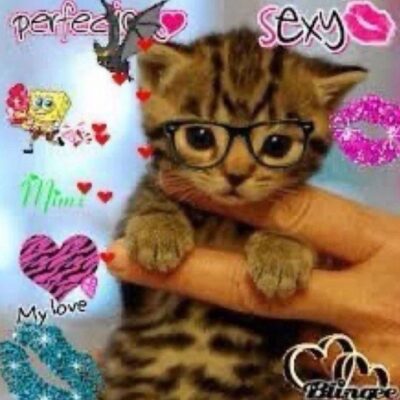 Что-то от Кто-то канал телеграм