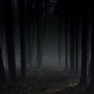 Все что нас окружает канал телеграм