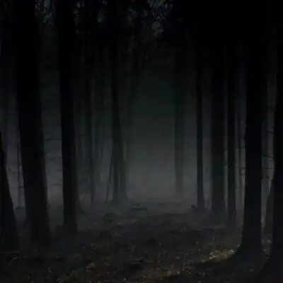 Все что нас окружает канал телеграм