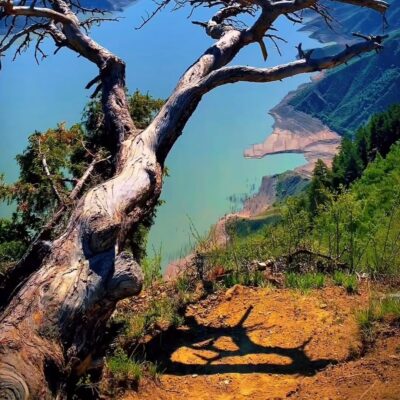 Туризм в Дагестане группа телеграм