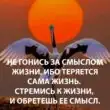 Корпорация монстров группа ватсап