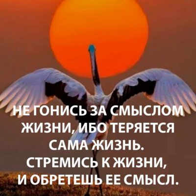 Корпорация монстров группа ватсап