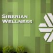Про Сибирское здоровье группа ватсап