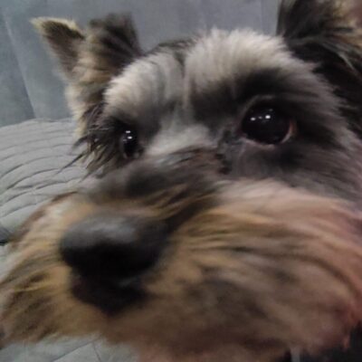 Группа для всех группа ватсап