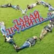ГРУППА ОБЩЕНИЯ группа телеграм