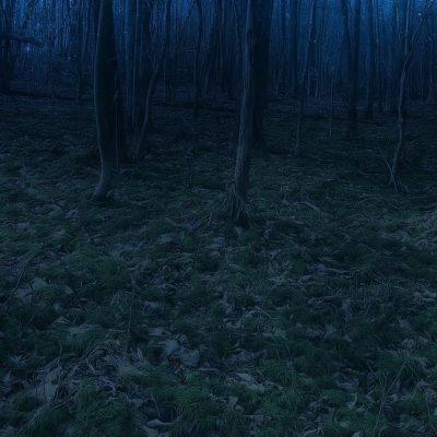 Island of death группа Ватсап