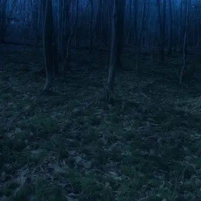 Island of death группа Ватсап