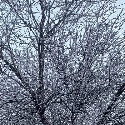 Изба-Читальня группа Ватсап