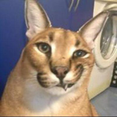 Корнет-1М группа Ватсап