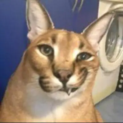 Корнет-1М группа Ватсап