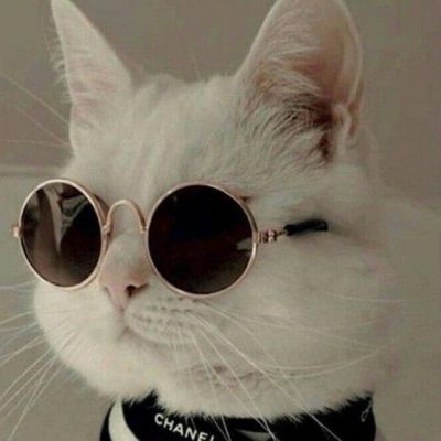 королевство группа Ватсап