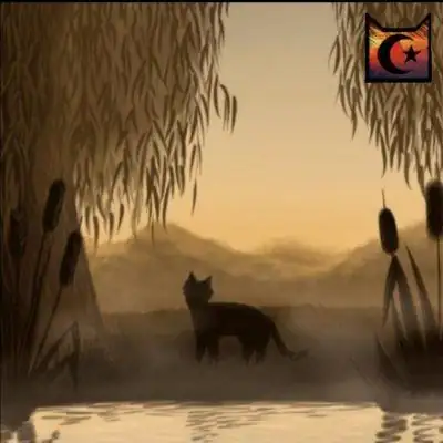 Коты воители Река Туманов группа Ватсап