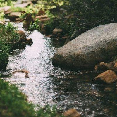 Лесная поляна группа Ватсап