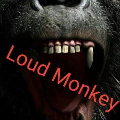 Loud Monkey группа Ватсап