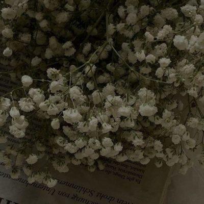 Magical forest группа Ватсап