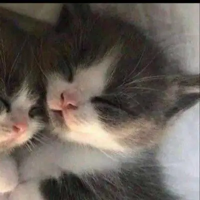 Магический Мир группа Ватсап