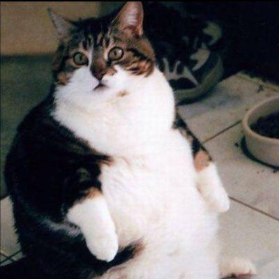 Малапалавин группа Ватсап