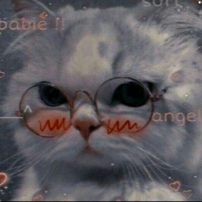 Мир ролевых группа Ватсап