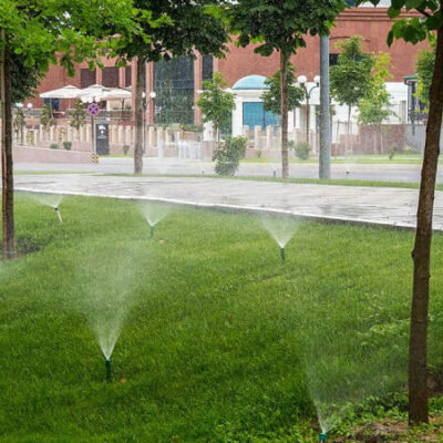 Мнение группа телеграм